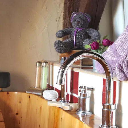 Au Manoir Des Forges * Saint-Brice (Mayenne)