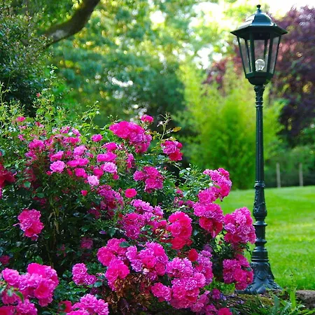 Au Manoir Des Forges *