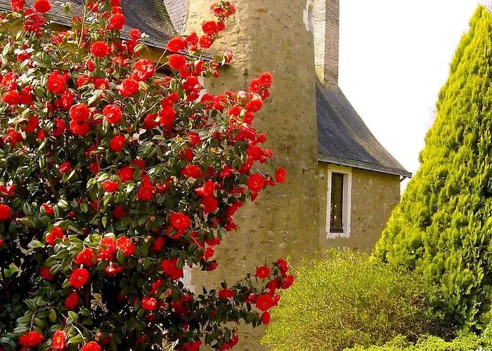 Au Manoir Des Forges Saint-Brice (Mayenne)