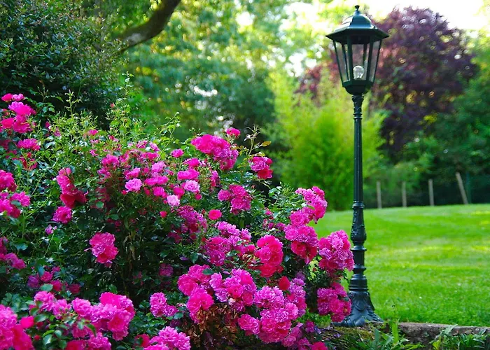 Au Manoir Des Forges *