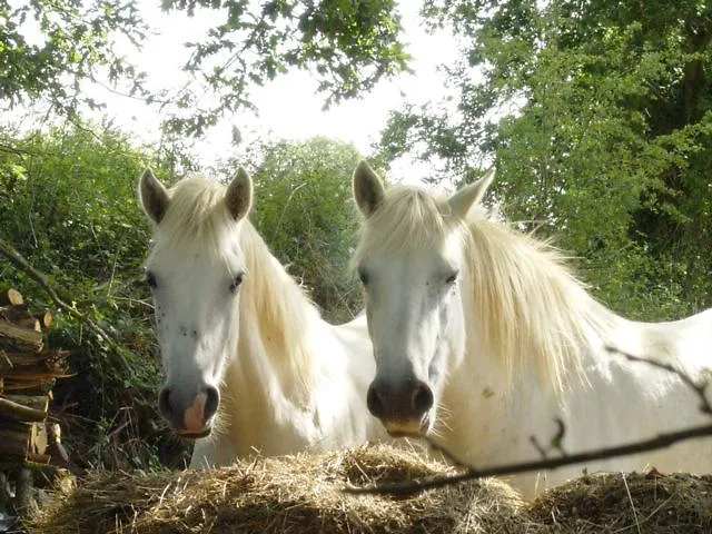Au Manoir Des Forges *